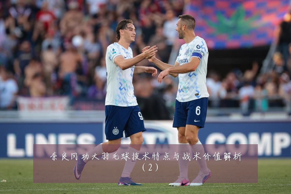 奈良冈功大羽毛球技术特点与战术价值解析（2）